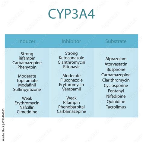 cyp3a4 strong inhibitors and inducers.